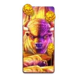Buffalo
King